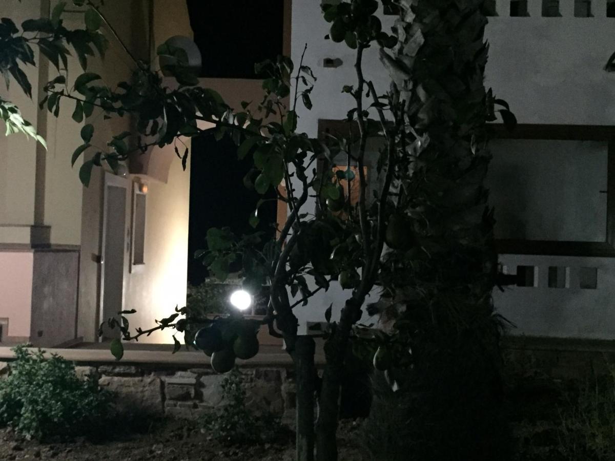Toulipa Rooms Agia Ermioni Exteriör bild